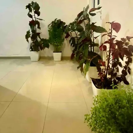 Tani 2 In The Of Is Located On Panorama Street Below The Lekursi Castle Saranda